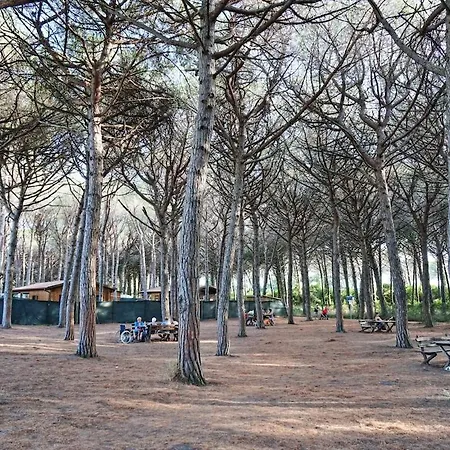 Apartman La Maison Al Mare *